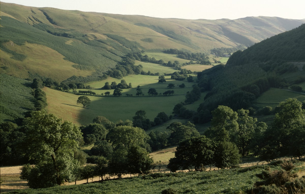 The Ffrwd Valley in late light