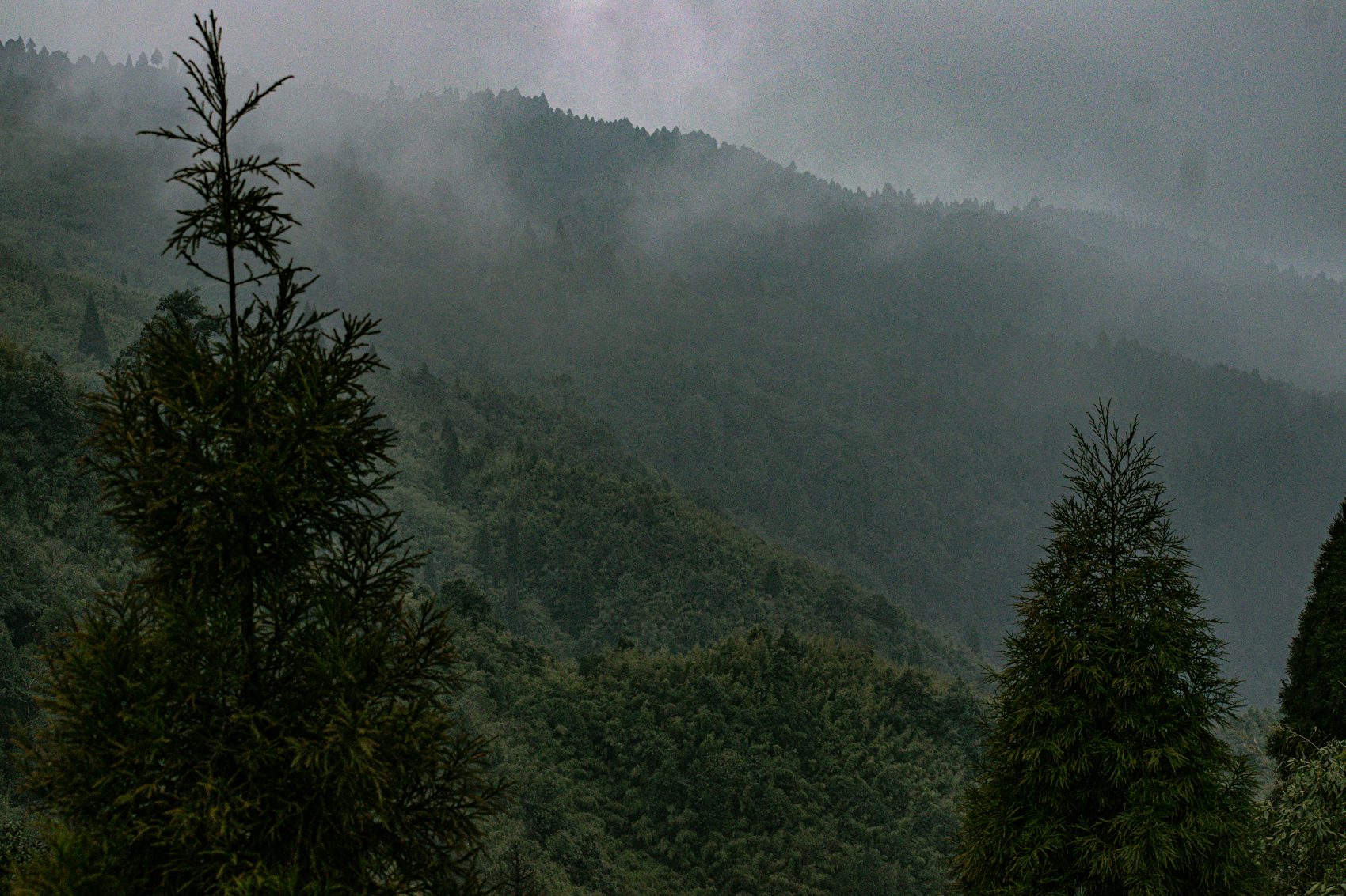 Low cloud in the valley below the house